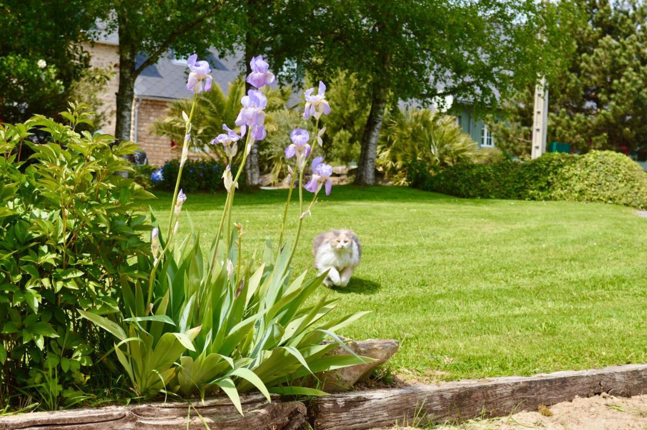 Bed and Breakfast La Pichonniere Isigny-le-Buat Экстерьер фото